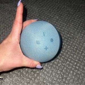Alexa Echo(Blue)